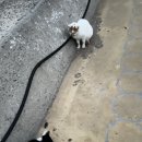 통영등대낚시공원 | 통영 등대낚시 공원 후기