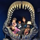 꼬리 노래연습장 이미지