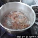 Shrimp Canape(슈림프 카나페) : 새우 카나페 이미지