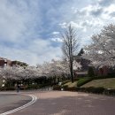 계명대학교 대명캠퍼스 이미지