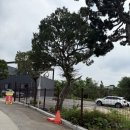 북한산장 | 서울근교 계곡식당 북한산 북한산장 닭볶음탕 내돈내산 후기