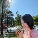 초록하다