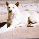 초희의 집 이미지