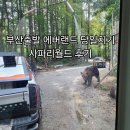 월드쥬스앞 | 부산출발 에버랜드당일치기 2편 사파리월드 대기 및 맨앞좌석 후기