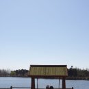 제602차: 4월16일(금요일) 일산 호수공원 한바퀴 걷기 이미지