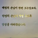 돈돼지 이미지