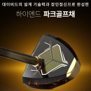 파크골프오후 | 데이비드 시그니처 700 파크골프채 실사용 후기｜“힘을 덜 줘도 공이 안정적으로 나가네요”