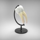 서울센텀치과의원 이미지