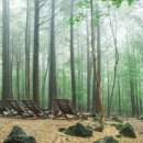 중부신용협동조합 이미지