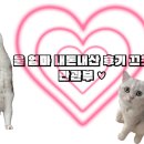 예덕옹심이칼국수 이미지