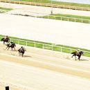 (주)기수산업 이미지