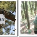 마금목장 이미지