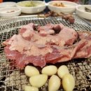 황소고집 이미지