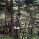 구재봉자연휴양림(하동) 네이버블로그