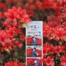대구 인생네컷 대여, 공단 봄축제에 스냅박스 출동