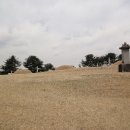 원유남 선생묘 이미지