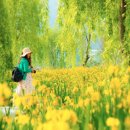 거창-거창-4 이미지