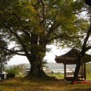 만평농장 이미지