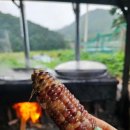 대박집 | 부산 기장 철마 현지인도 줄서서 먹는 옥수수 맛집 대박집 후기