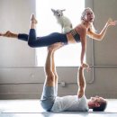 바르미안마원 이미지