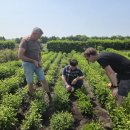 심우농장 이미지