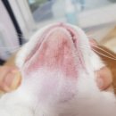 예뻐지냥 이미지