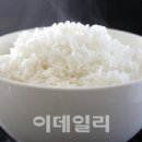 밥심 이미지