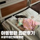 북구하나아동병원 | 28개월 아기 입원후기 _ 광주 북구 하* 아동병원, 살모넬라균 장염