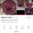 생고기뚝배기전문점 | 대구 구암동 맛집 고기집 오드레기 세트가 있는 봉화생고기 본점