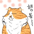 에이스테이크 - 남동구 남동대로799번길 8 | 에이스테이크