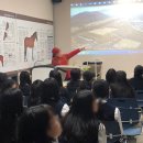 제주한라대학교 마사학부 실습승마장 이미지