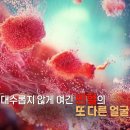 [996회] 생로병사의 비밀/[빈혈의 경고] “빈혈은 단순한 어지럼증이 아니다. 중증질환의 전조증상이다... 이미지