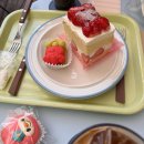 새편한이웃약국 이미지