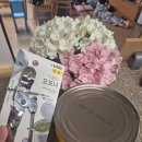 큰손참치 이미지