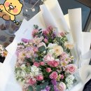 꽃블리분당 이미지
