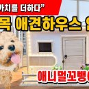 원목 반려동물하우스 애니멀꼬뺑이 안내 #애견하우스 #반려동물하우스 #펫하우스 이미지