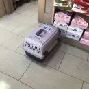 로하스일산병원 이미지