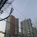 현빈이네청과
