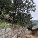 호우미농장 인천일보