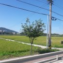 안흥할머니 경로당 이미지