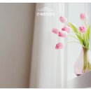 은혜종합장식 - 남원시 동문로 22 | 은혜종합장식