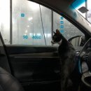 일산 WASHZONE 덕이점 이미지