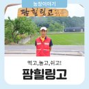 팜힐링고