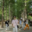 [태국관광여행사 사진사 알바후기-4탄] 세번째 투어