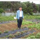 새벽농장 이미지