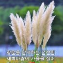 대부해솔길 4코스 이미지