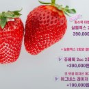 밀라비의원 이미지