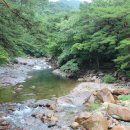 대원사계곡 이미지