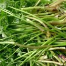 상희농장 이미지