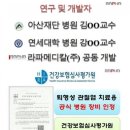 라파레이 이미지